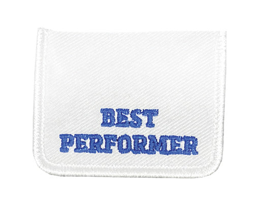 Place Tabs and Significant Recognition Tabs for UIL Patches - starting in 2024